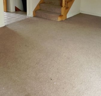 Normal 1472154846 Carpet Close Up 337