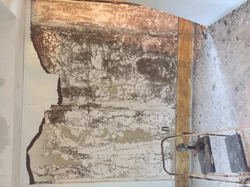 Termite Prevention And Control Pests In The Home