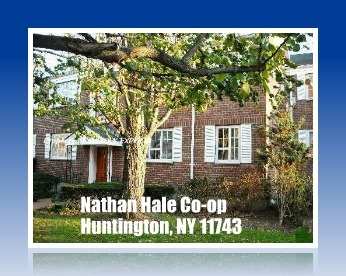 Normal 1489338602 Nathan Hale