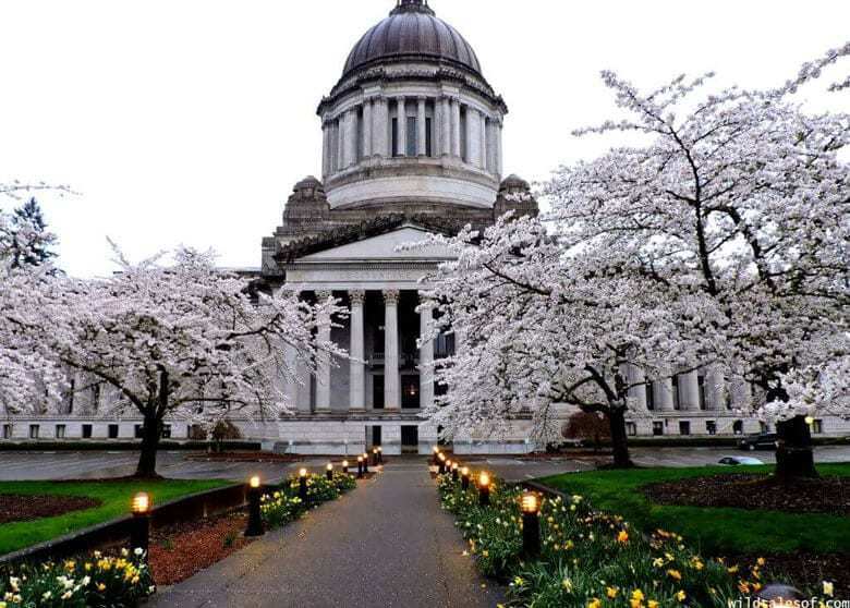Normal 1568969076 Olympia Capitol 1024x732 1024x732