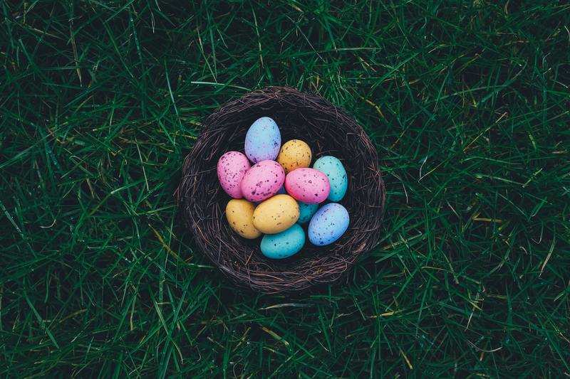 Normal 1583039580 Annie Spratt 43o1 K Vb Owxa Unsplash