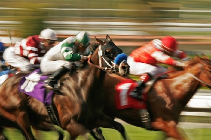 How Horse Racing Made me a Better Real Estate Investor Better Real Estate investor