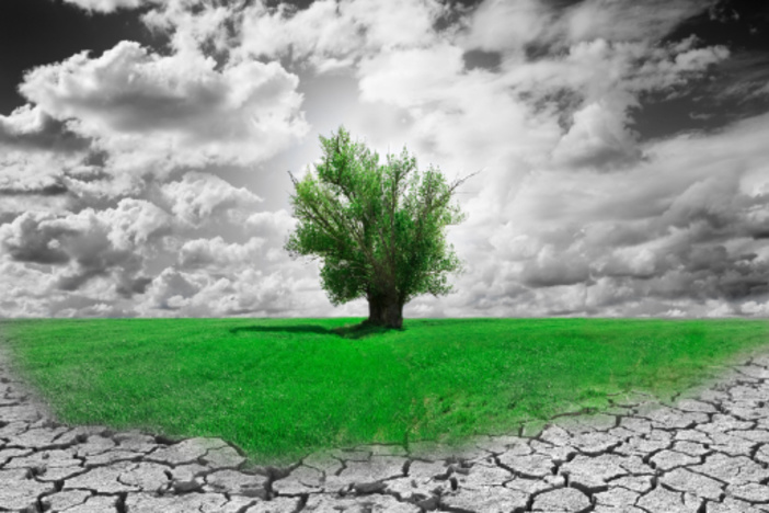 Why Investors Undeniably Matter to the Real Estate Market