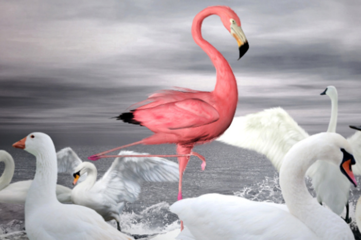 5 Ways to Stand Above the Competition as a Property Manager