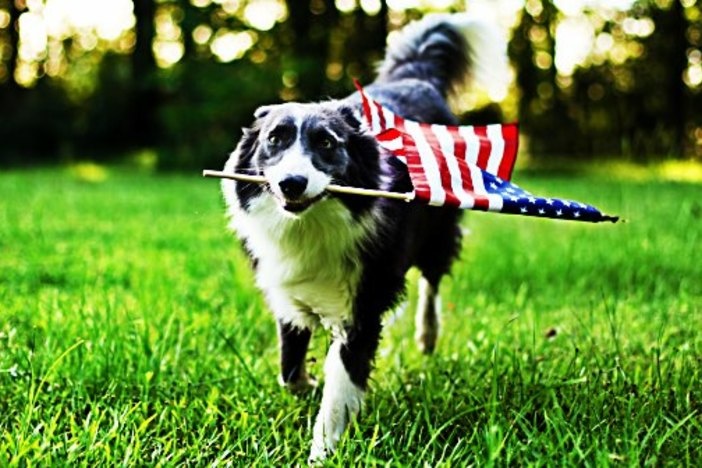 What All Real Estate Investors Should Remember on Memorial Day memorial-day