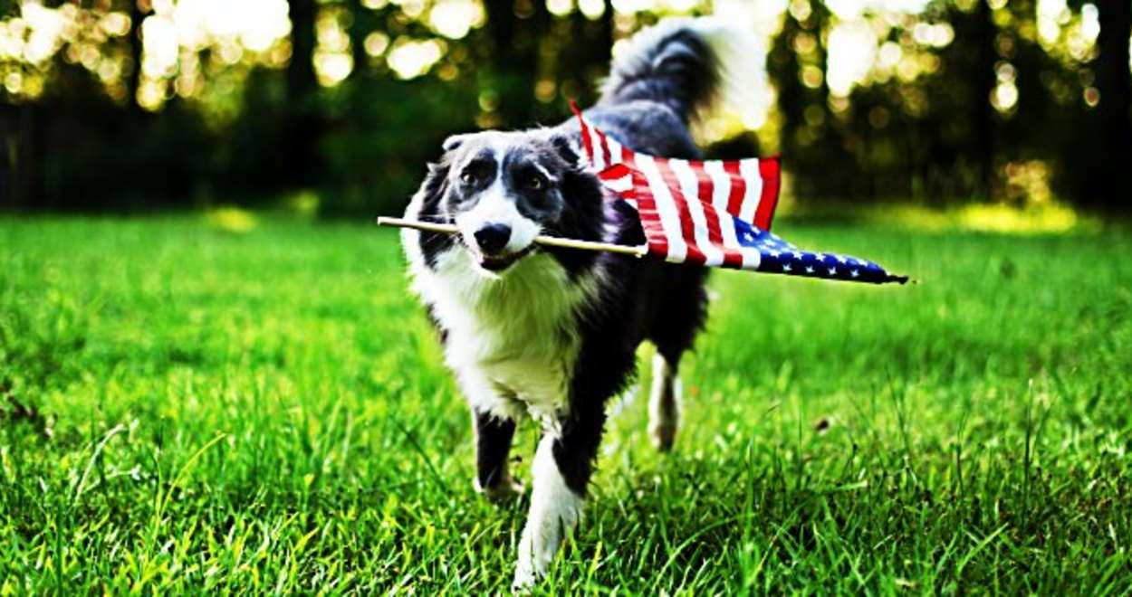 What All Real Estate Investors Should Remember on Memorial Day memorial-day