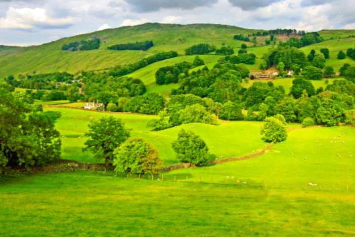 Subdividing Land: A Primer for Real Estate Investors on Process, Legality & Costs subdividing-land