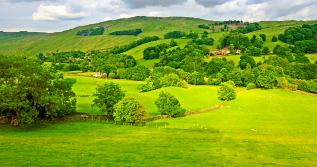 Subdividing Land: A Primer for Real Estate Investors on Process, Legality & Costs subdividing-land